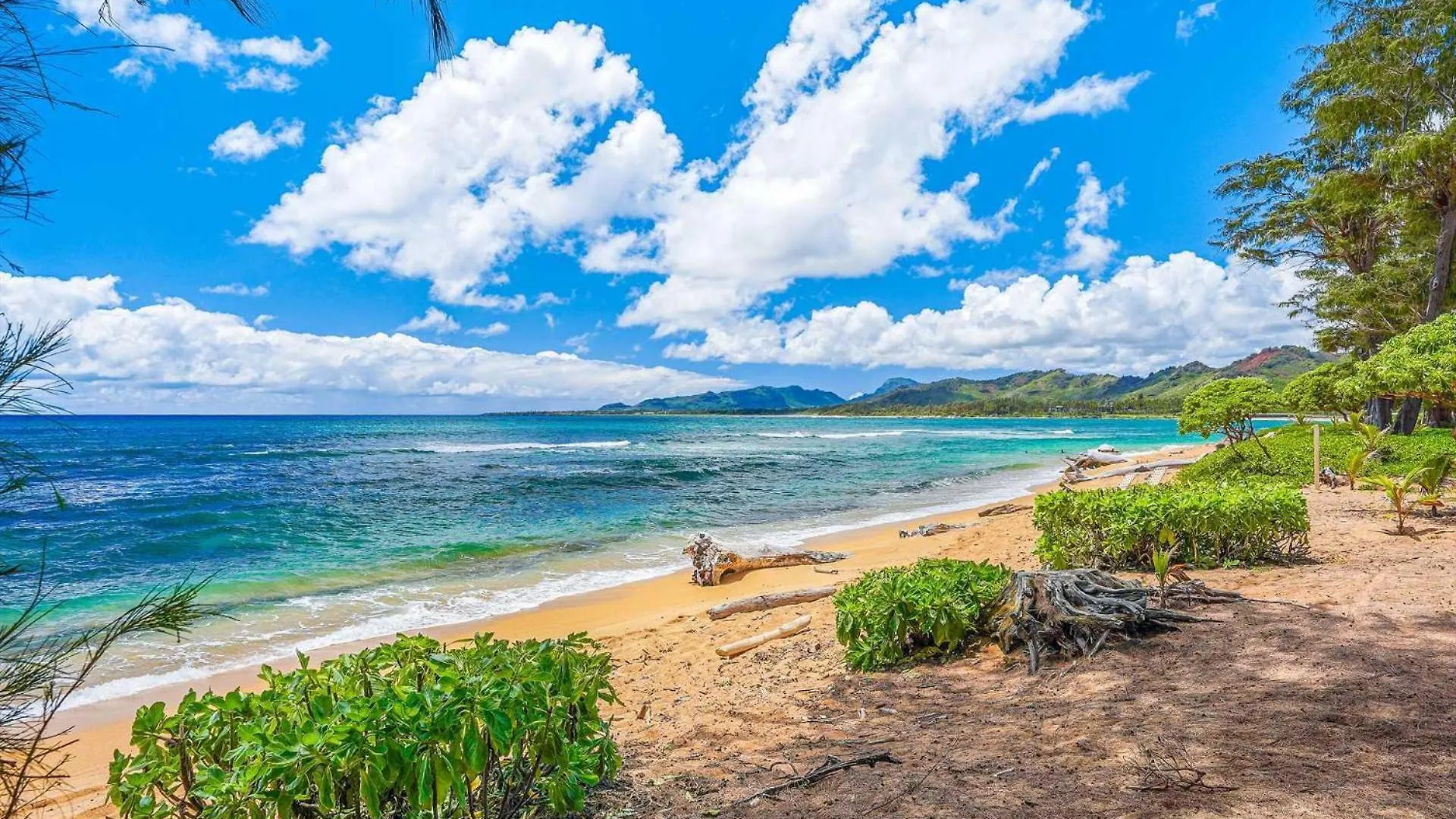 Apartment Islander On The Beach 249 Kapa'a