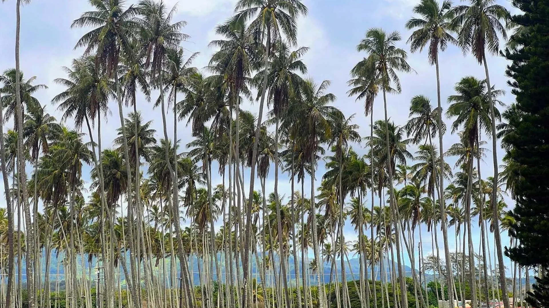 Islander On The Beach 249 Kapa'a 0*,